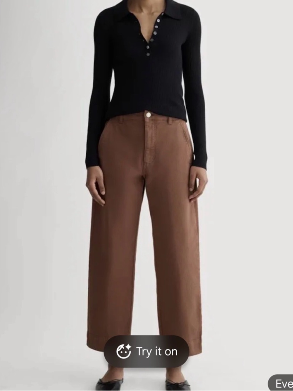 Everlane Brown utility barrel pant